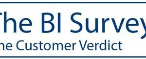 We need you! Fill out ‘The BI Survey 11: Customer Verdict’ today!