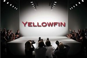 Yellowfin Business Intelligence named in top 40 vendors to watch list