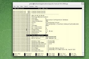 Volatile data sources in Business Intelligence