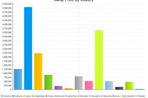 Making the basis of data visualization & business analytics better: Improving the dashboard