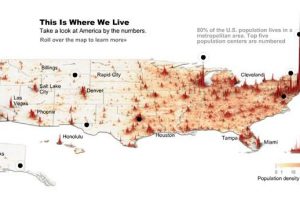 How Much Data do You Need to Use Data Visualization Software?