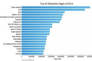 What Interested People Online in 2014