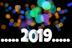 2019 in review (and why I’m excited for next year)