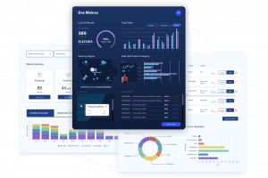 What Does Embedded BI Really Mean? OEM Reporting Tools Defined